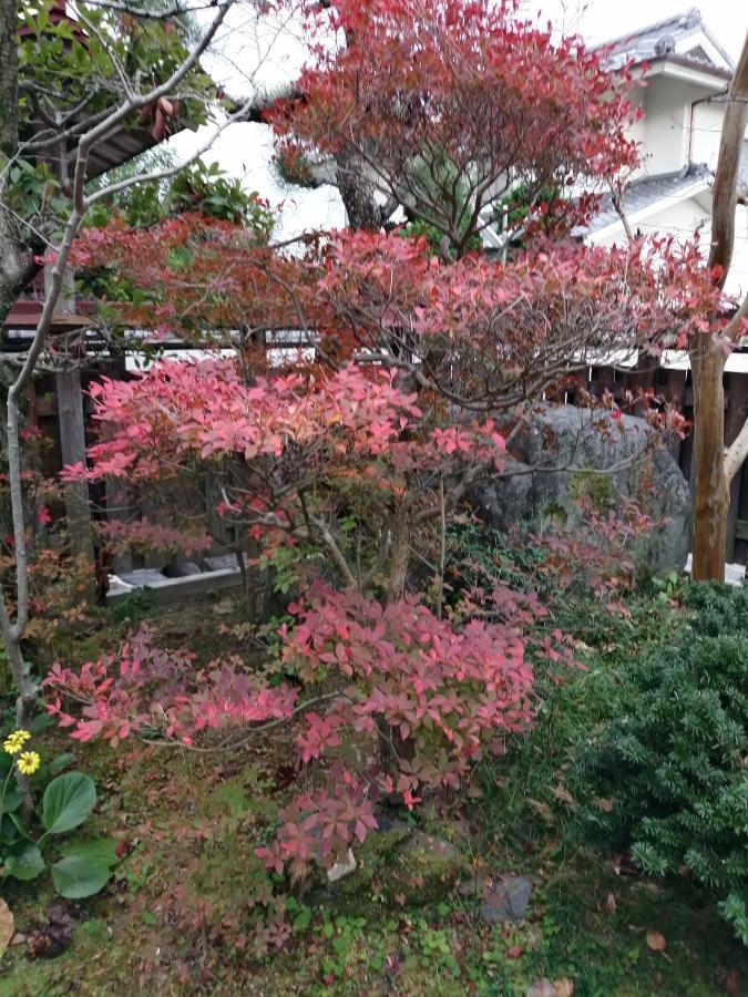 ゲストハウス山本 Gifu Kültér fotó
