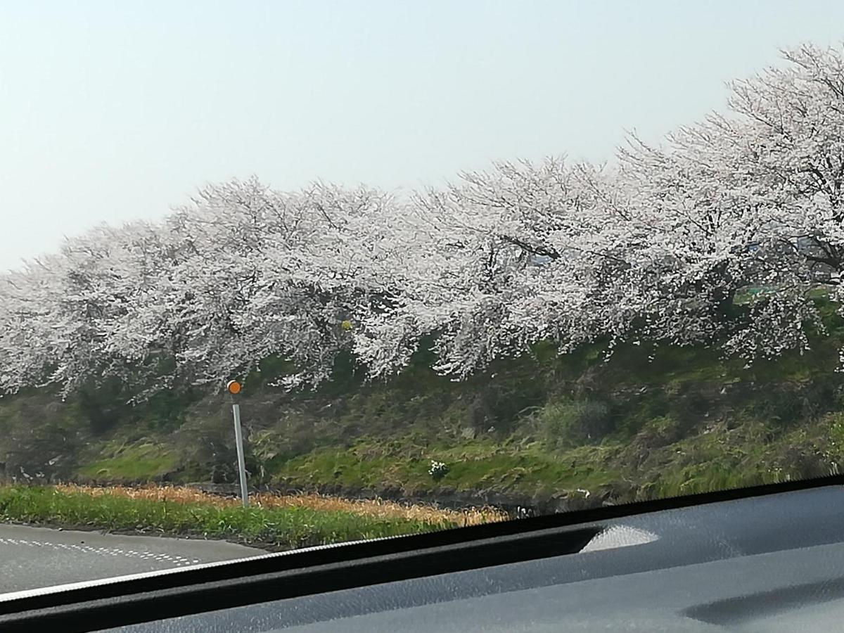 ゲストハウス山本 Gifu Kültér fotó
